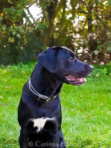 296519_255509727821865_100000885186629_685722_1745979556_n.jpg 296519_255509727821865_100000885186629_685722_1745979556_n.jpg