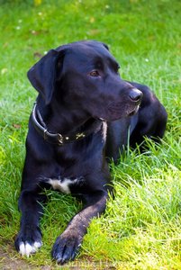 313078_255509757821862_100000885186629_685723_500286833_n.jpg 313078_255509757821862_100000885186629_685723_500286833_n.jpg