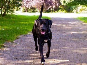 320030_255509827821855_100000885186629_685725_1614514919_n.jpg 320030_255509827821855_100000885186629_685725_1614514919_n.jpg