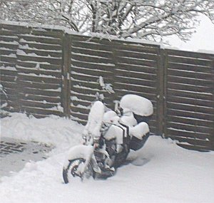 schneehonda4.jpg schneehonda4.jpg