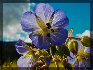 comp_X530PIMG0165.jpg comp_X530PIMG0165.jpg