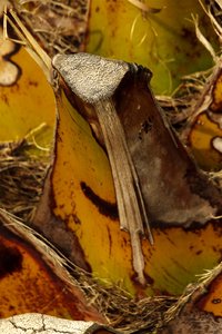 SAM_4364.jpg SAM_4364.jpg