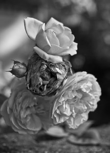 1shot1moment@bilderforum (1 von 1).jpg