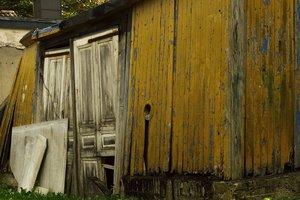 SAM_4455.jpg SAM_4455.jpg