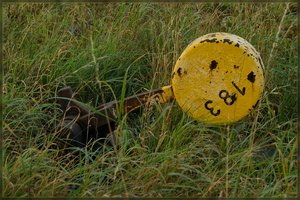 LaPaDu -SD15 - SDIM9150.jpg