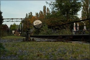 LaPaDu -SD15 - SDIM9180.jpg