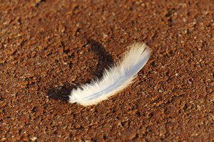 SAM_3910.jpg SAM_3910.jpg