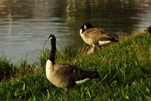 SAM_3980.jpg SAM_3980.jpg