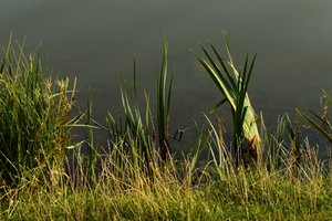 SAM_3997.jpg SAM_3997.jpg