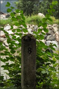 Zahlen -SD15 - SDIM6537.jpg