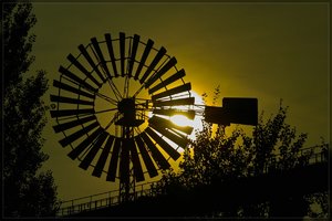 LaPaDu -SD15 - SDIM9108.jpg