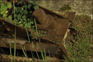 LaPaDu -SD15 - SDIM9056.jpg