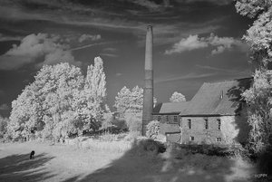 SDIM3971 SD15 + 24-135 Infrarot psf-denoised (c) PPf.jpg