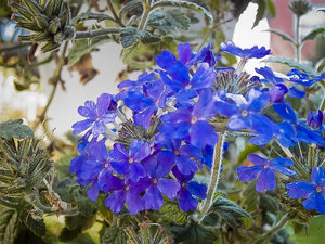 1shot1moment@bilderforum (1 von 1).jpg