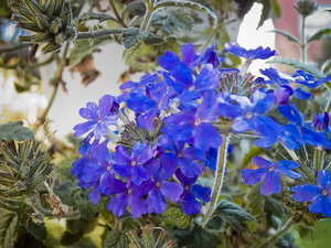 1shot1moment@bilderforum (1 von 1)-2.jpg