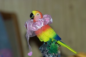 comp4Papageiplastik1.jpg