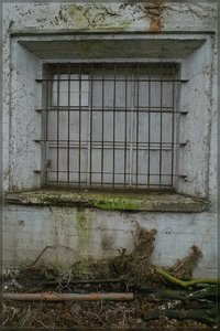 Lost Place -DP1 - SDIM1684.jpg