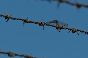 Düsseldorf Flughafen-55.jpg