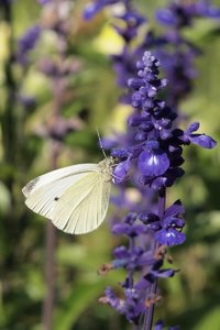 Dachau 2011-10-01 024.jpg