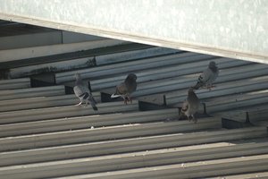 DSC_2352.JPG DSC_2352.JPG