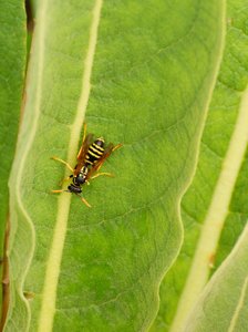 Compressed_0051.jpg Compressed_0051.jpg