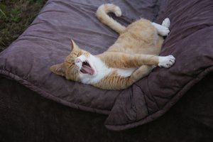 Compressed_0052.jpg Compressed_0052.jpg