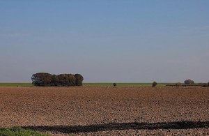 Dangast Tisch, Feld, Büsche 500 kbDangast Acker mit Büschen0001.jpg