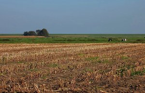 Dangast Tisch, Feld, Büsche 500 kbDangast Feld0001.jpg