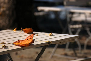 Dangast Tisch mit Blatt0001.jpg