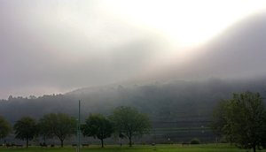 Compressed_0063.jpg Compressed_0063.jpg