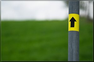 SAM_2410-9-3_hf.jpg SAM_2410-9-3_hf.jpg