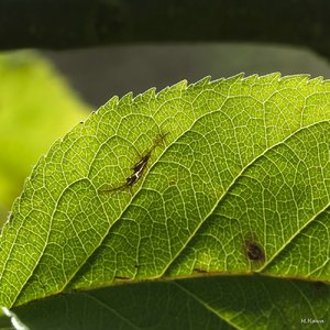 02 SDIM2198_corp.jpg