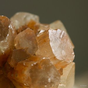 03 SDIM2465_corp.jpg