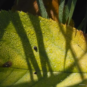 04 SDIM2242_corp.jpg