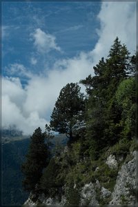 Allgäu -SD15 - SDIM7455.jpg Allgäu -SD15 - SDIM7455.jpg