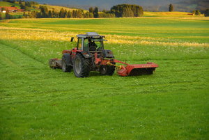 Urlaub bei Oswald 192.JPG