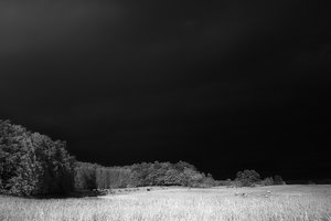 2011_10_06_Chorin_IR_RG780_SDIM0020_1200pix.jpg 2011_10_06_Chorin_IR_RG780_SDIM0020_1200pix.jpg