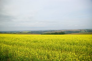 Compressed_0111.jpg Compressed_0111.jpg