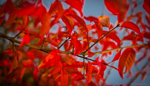 1shot1moment@bilderforum (1 von 1).jpg