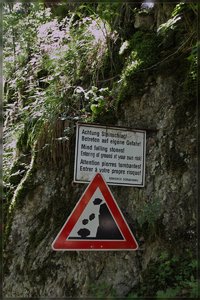 Pöllatschlucht -SD15 - SDIM7283.jpg