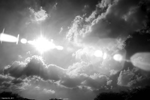 ir_SDIM1296_filtered.jpg ir_SDIM1296_filtered.jpg