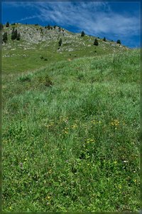 Jöchelspitze -SD15 - SDIM7072.jpg