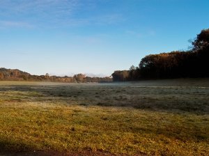 comp_01.jpg comp_01.jpg