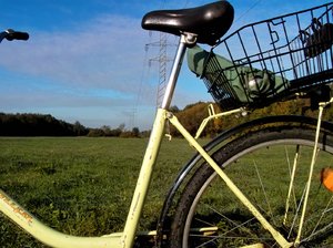 comp_12.jpg comp_12.jpg