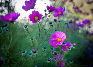 1shot1moment@bilderforum (1 von 1).jpg 1shot1moment@bilderforum (1 von 1).jpg