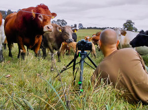 2011_10_06_Chorin_IR_X530_Meta_PIMG0003_1024pix.jpg 2011_10_06_Chorin_IR_X530_Meta_PIMG0003_1024pix.jpg