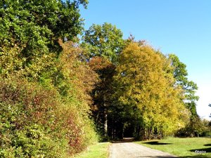 Image 1.JPG Image 1.JPG