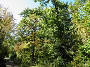 PA152119.JPG PA152119.JPG