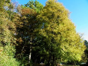 PA152121.JPG PA152121.JPG