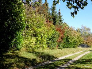 PA152123.JPG PA152123.JPG